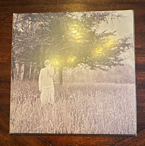 Taylor swift folklore hide - taylor, and