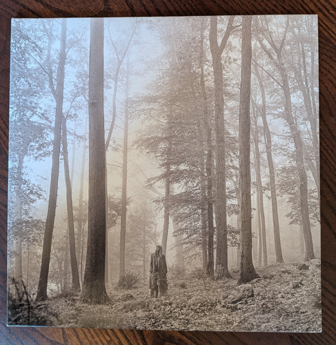 Taylor swift folklore - folklore, 12"